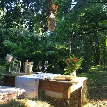 Domaine Du Vertbois La Haye-du-Theil Exteriör bild