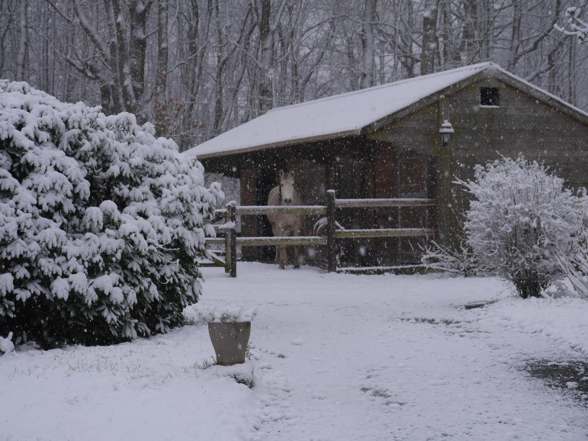 Domaine Du Vertbois La Haye-du-Theil Exteriör bild