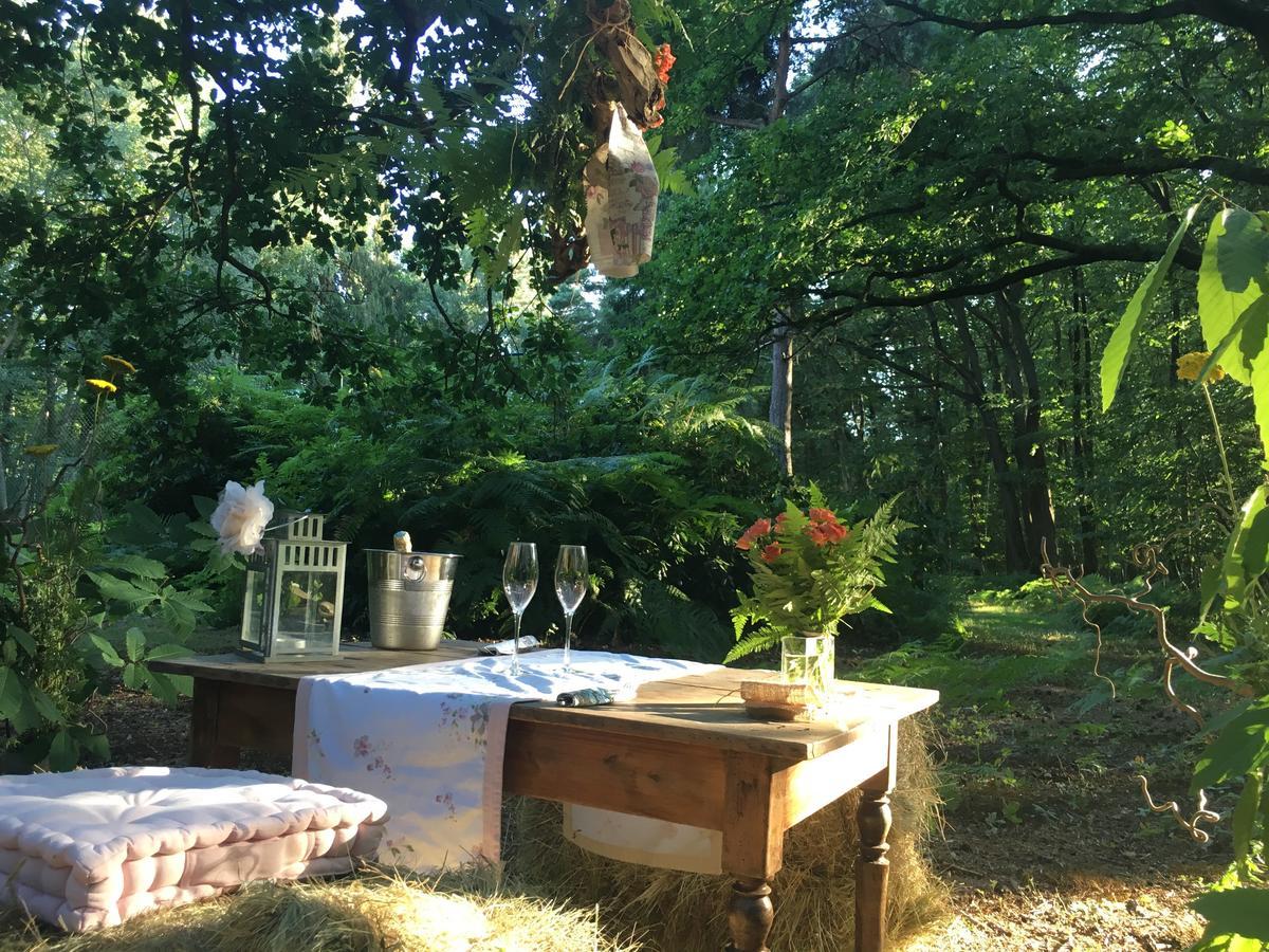 Domaine Du Vertbois La Haye-du-Theil Exteriör bild