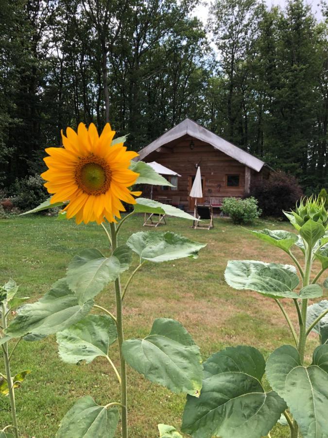 Domaine Du Vertbois La Haye-du-Theil Exteriör bild